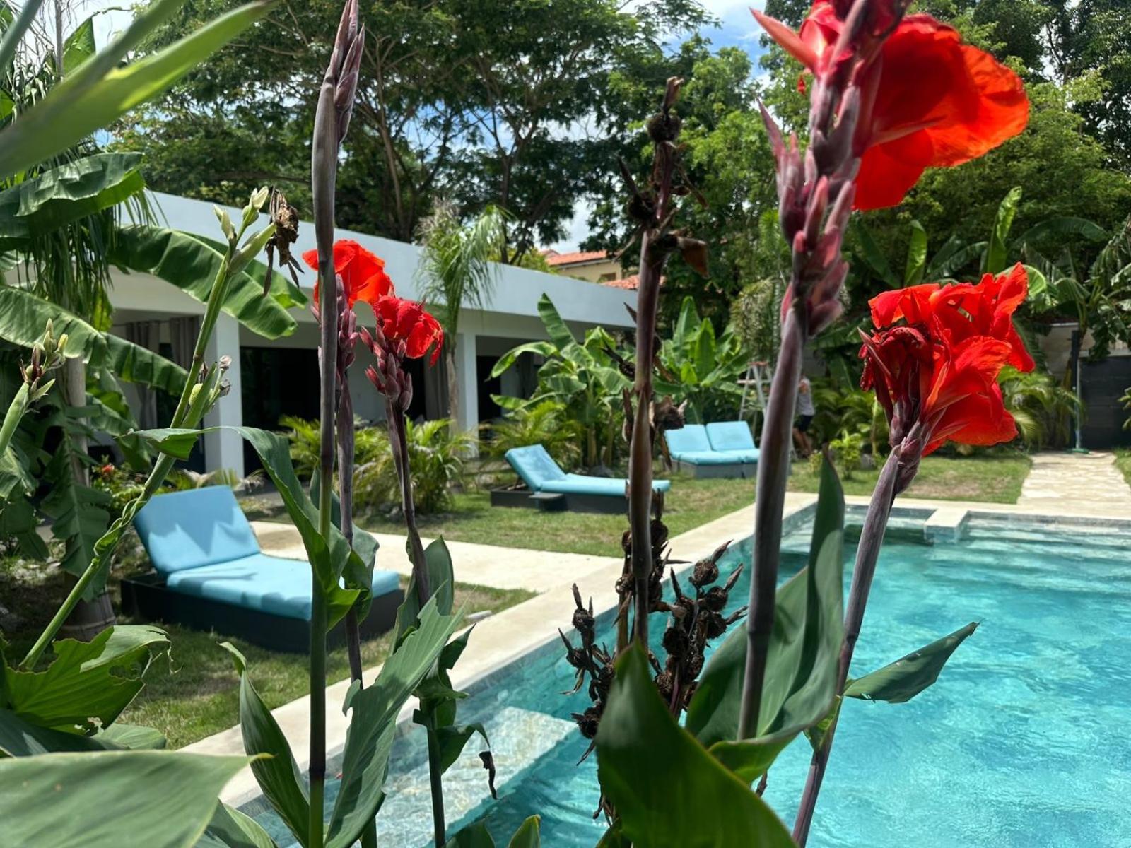 Hotel Good Life Coco Exterior foto